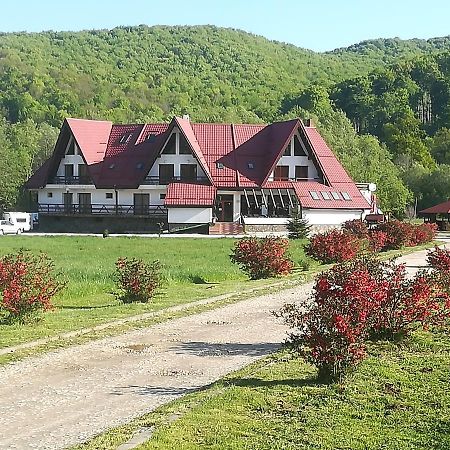 Pensiunea Rasnov Екстериор снимка