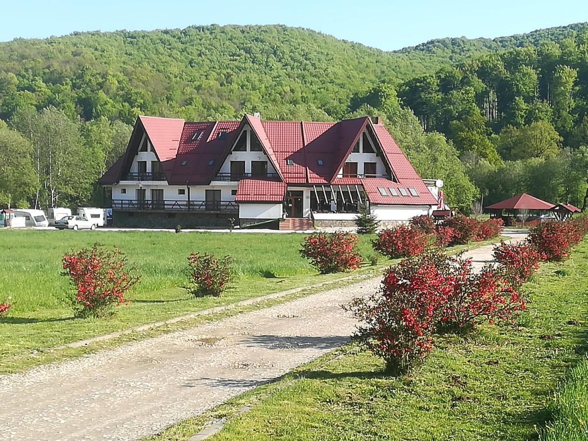 Pensiunea Rasnov Екстериор снимка