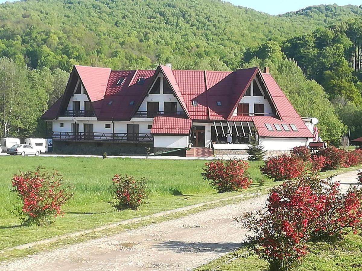 Pensiunea Rasnov Екстериор снимка